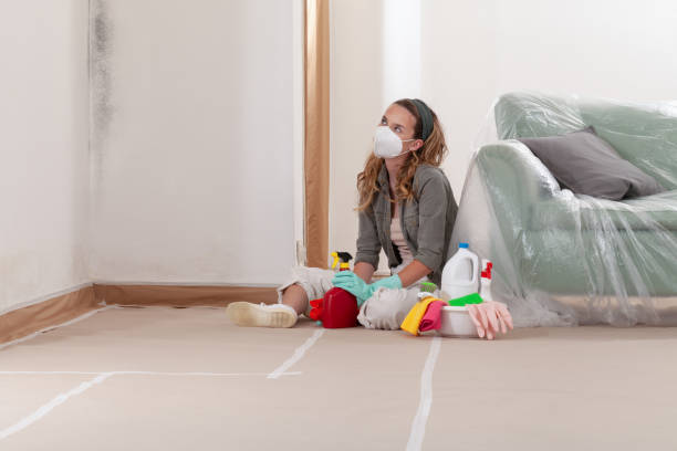 Reliable Basement Mold Remediation contractor in Greensboro, GA by 24 Hour Mold Removal